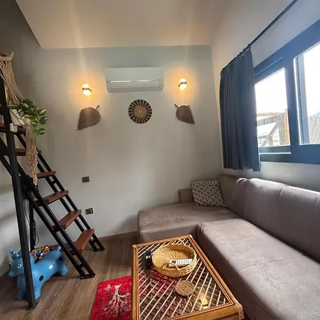 Lion Villa *